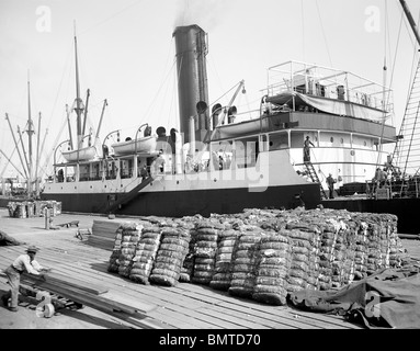 Ein Baumwoll-Dampfer, New Orleans, Louisiana Stockfoto