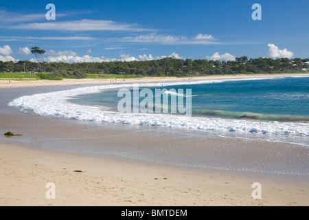 Mollymook Strand im südlichen New South Wales, Australien Stockfoto