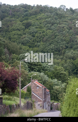 Hügel Dorf Haus steile Straße Wald Gebirge Stockfoto