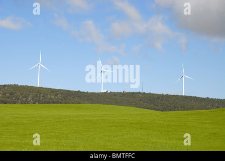 Blick über Weizenfelder, Windkraftwerke auf dem Horizont, in der Nähe von Cuenca Provinz, Huete, Kastilien-La Mancha, Spanien Stockfoto