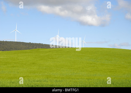 Blick über Weizenfelder, Windkraftwerke auf dem Horizont, in der Nähe von Cuenca Provinz, Huete, Kastilien-La Mancha, Spanien Stockfoto