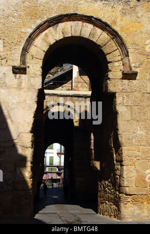 Puerta de Sevilla, Carmona, Provinz Sevilla, Andalusien, Südspanien, Westeuropa. Stockfoto