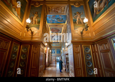 FRANKREICH, DAS SCHLOSS VON FONTAINEBLEAU, DIE PLATTEN-GALERIE Stockfoto