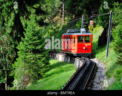 Die Zahnradbahn auf dem Pilatus, Zentralschweiz, mit einem Zug durch Pinienwälder. Stockfoto