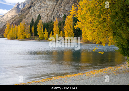 Lake Wakatipu und Weiden Stockfoto