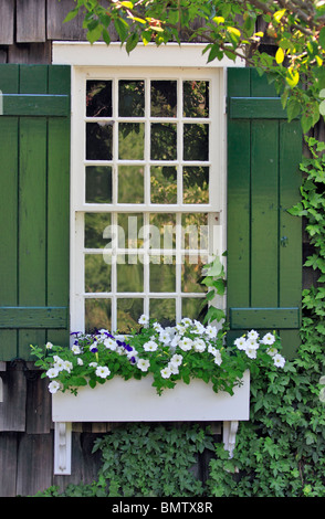Fenster und Blumen box Long Island NY Stockfoto