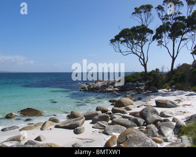 Küste bei Binalong Bay in Tasmanien, aufgenommen im Sommer 2010 Stockfoto