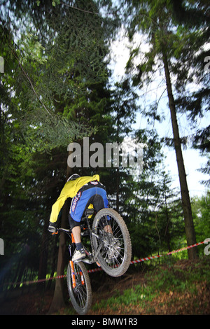 Mountainbiker im Downhill Mtb-Rennen in Szczyrk, Beskiden, Polen. Stockfoto