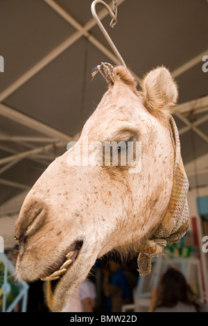 Ein Kamel Kopf hängt an einem Haken außerhalb einer Metzgerei in Djerba, Tunesien. Stockfoto