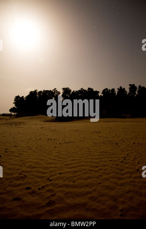 Vollmond leuchtet der Himmel und Sanddünen an der Ksar Ghilane-Oase in der Wüste Sahara in Tunesien. Stockfoto