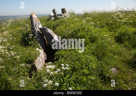 Angeblich ist das höchste megalithische Grab in Großbritannien, fünf Brunnen chambered Cairn in der Nähe der Dörfer Taddington und Chelmorton Stockfoto