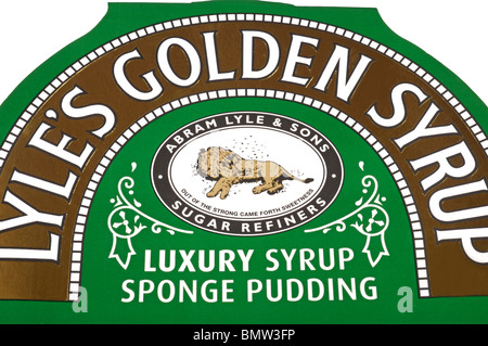 Lyles Golden Syrup Sponge pudding Stockfoto