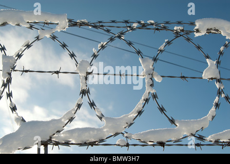 Stacheldraht (oder Stacheldraht Band), und auch Stacheldraht mit Hintergrundbeleuchtung Winterschnee drauf, vor blauem Himmel. Stockfoto