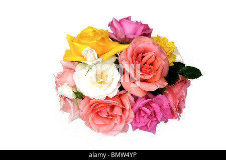 Strauß Rosen auf weißem Hintergrund Stockfoto
