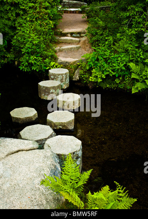 Garten Wanderweg, Stepping Stones in Asticou Azalee Japanische Gärten in Seal Harbor, Maine, USA, in der Nähe der Acadia National Park, New England, Amerika Stockfoto