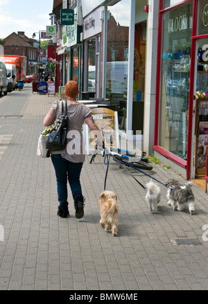 Dame mit kurzen beschnitten, orange Haare und Tattoos, die ihre Hunde auf der Straße vorbei an einer Reihe von Geschäften in Amersham Bucks UK laufen Stockfoto