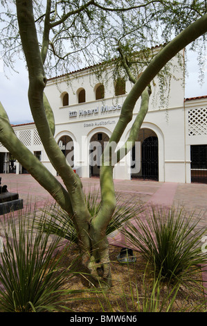 Palo Verde Baum vor dem gehört Museum der einheimischen Kulturen und Künste, Phoenix, AZ Stockfoto