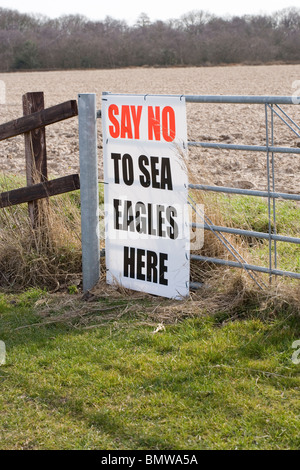 Protest auf landwirtschaftlichem Betrieb gegen eine vorgeschlagene Wiedereinführung der Seeadler Seeadler (Haliaeetus albicilia), Norfolk, East Anglia. England. UK. Stockfoto