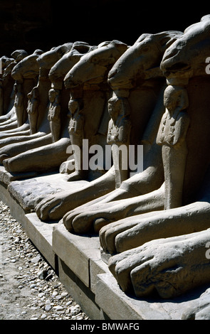 Widderköpfige Sphingen am Karnak-Tempel in Luxor. Stockfoto