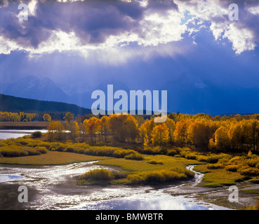 Grand Teton Nationalpark, WY die Sonne Strahlen beleuchtet ein aspen Grove bei Oxbow Bend mit Gewitterwolken über den Teton Stockfoto