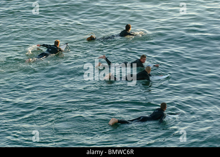 Große Gruppe von Surfern versammelten sich in Surf City, USA in Huntington Beach, Kalifornien. Stockfoto