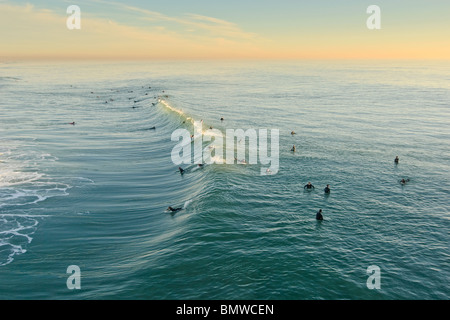 Große Gruppe von Surfern versammelten sich in Surf City, USA in Huntington Beach, Kalifornien. Stockfoto