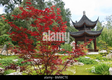 Chinesischer Garten mit Pagode und den See. Stockfoto