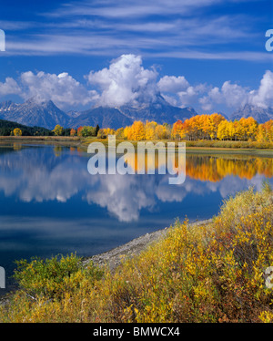 Grand Teton Nationalpark, WY die Sonne Strahlen beleuchtet ein aspen Grove bei Oxbow Bend mit Gewitterwolken über den Teton Stockfoto