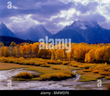 Grand Teton Nationalpark, WY die Sonne Strahlen beleuchtet ein aspen Grove bei Oxbow Bend mit Gewitterwolken über den Teton Stockfoto