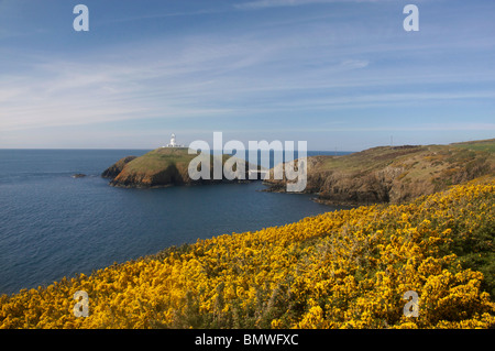 Strumble Head Leuchtturm im Frühjahr in der Nähe von Fishguard Pembrokeshire West Wales UK Stockfoto