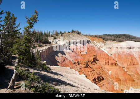 Klippen an der Cedar Breaks National Monument in Utah Stockfoto