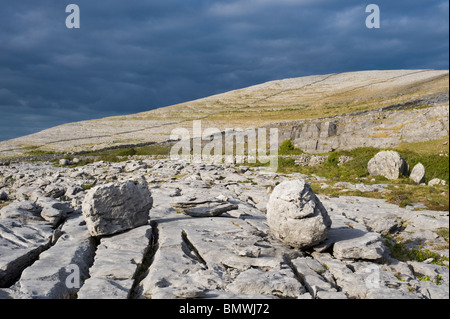 Findlinge, hinterlegt von Gletschern, verstreut über die Kalkstein-Pflaster in der Nähe von Black Head, the Burren, Co. Clare, Irland Stockfoto