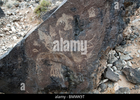 Petroglyphen in Rinconada Canyon Petroglyph National Monument New Mexico USA Stockfoto