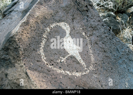 Petroglyphen in Rinconada Canyon Petroglyph National Monument New Mexico USA Stockfoto