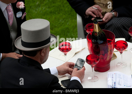 Rennen-Gänger in Top-Hats Champagner zu trinken, während Wetten mit ihren Handys Tagung des Royal Ascot Race Stockfoto