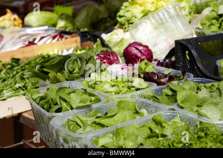 Salatblätter auf dem Markt in der Piazza Delle Erbe, Verona, Italien Stockfoto