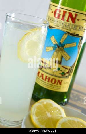 Gin und Zitrone Pomada, Menorca, Balearen, Spanien Stockfoto