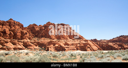 Wüste Salbei wächst der Vordergrund eine Sandstein-Felsen Stockfoto