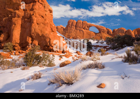 Winter im Arches National Park in der Wüste südwestlich von Utah USA Stockfoto