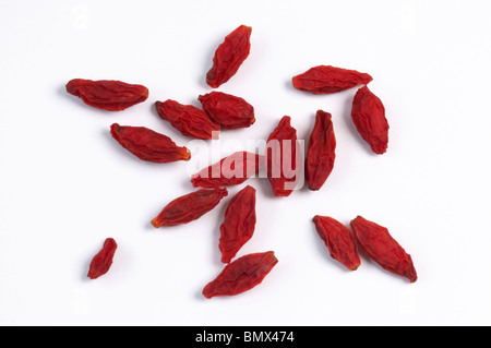 Boxthorn, chinesische Wolfsbeere, (Lycium Barbarum), getrocknete Früchte, Studio Bild. Stockfoto