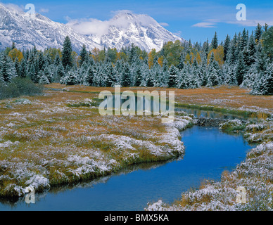 Grand Teton Nationalpark, WY frühen Schnee Abstauben Wiese mit Biber Teich in der Nähe von Schwabacher Landung am Snake River Stockfoto
