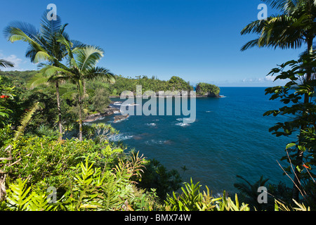 Onomea Bay von Scenic Loop Drive in der Nähe von Hilo, Hawaii Stockfoto