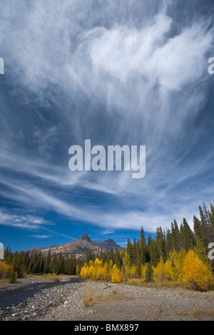 Shoshone National Forest, WY Ansicht des Pilot Haupt- und aus entlang der Clarks Fork River mit Herbst farbige Pappeln Stockfoto