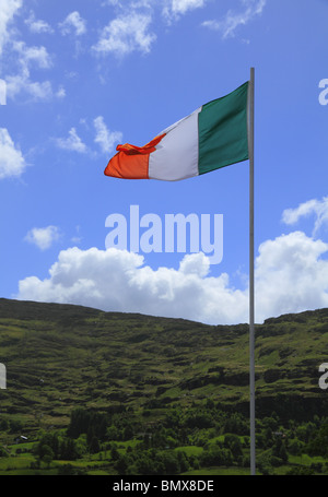 Eine irische Flagge fliegt über die grünen Wiesen des County Kerry. Stockfoto