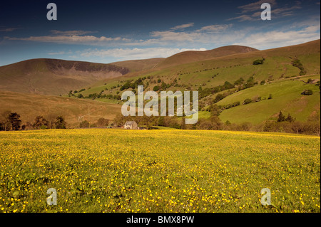 Traditionelle Mähwiese in frühen Beschwörer in Butterblumen, bedeckt mit Howgill Berge im Hintergrund. Stockfoto