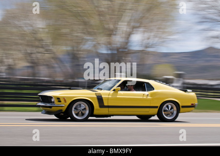 Eine gelbe 1970 Ford Mustang Boss 302 entlang einer Landstraße Geschwindigkeiten Stockfoto