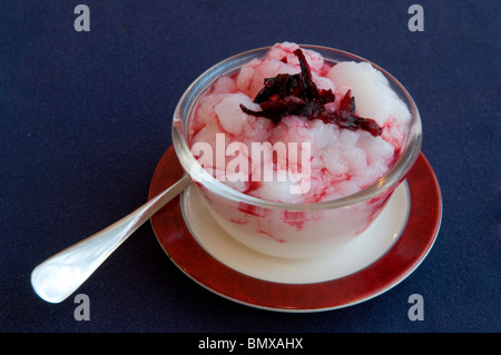 Traditionelle des Nahen Ostens malabi Mahalibiya (auch genannt), ist ein cremiger Milch, Pudding, parfümiert mit Rosenwasser, Stockfoto