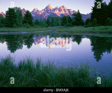 Grand Teton Nationalpark, WY Teton Range Nachdenken über einen grasigen Snake River Nebenfluss in der Nähe Schwabacher Landung Stockfoto