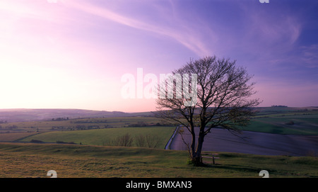 Blick nach Norden Cissbury Ring, West Sussex, England, UK Stockfoto