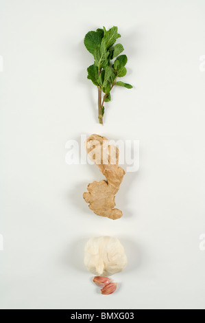 Knoblauch, Ingwer und Minze Stockfoto